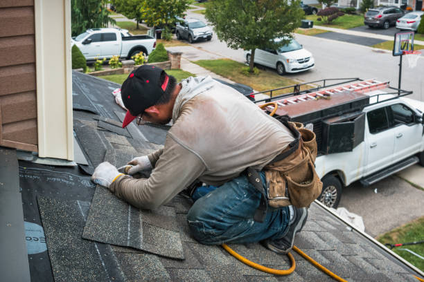 Professional Storm Damage Roof Repair technician working in Brighton, IL